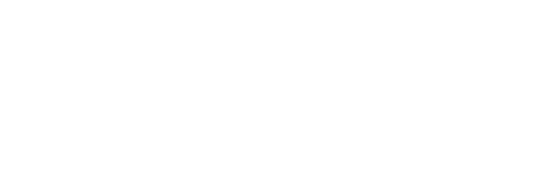 NSM ITALIA Logo